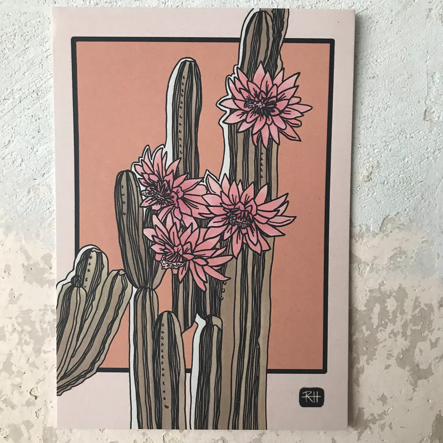 cactus illustration designed by Ronja Hollkott